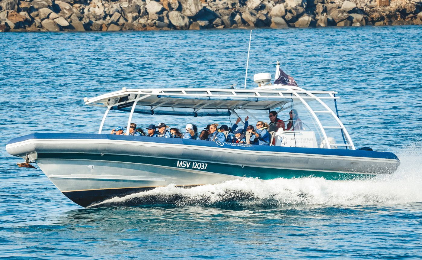 Byron Bay Cruises