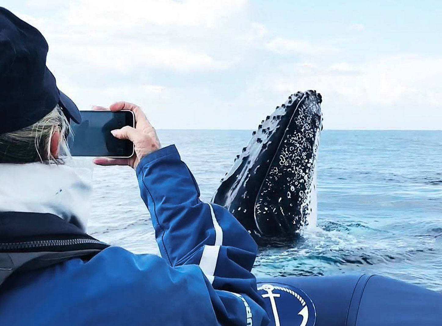 Taking a Photo of a Humpback Whale up close on a Byron Bay Whale Watching experience
