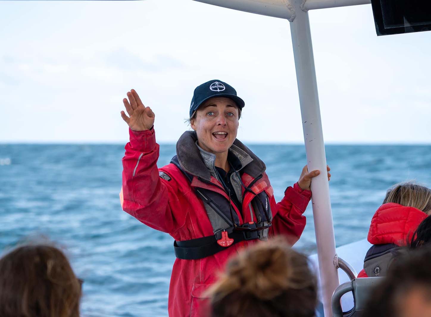 Marine Biologist Byron Bay Whale Watching